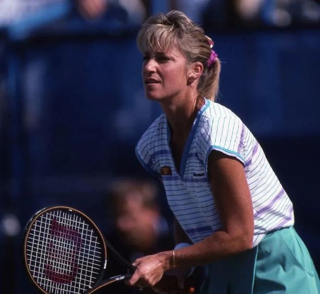 篮板保护和 篮板保护和