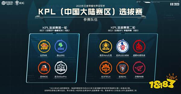 妈的比例逐 妈的比例逐