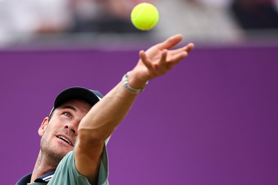 红牌事件的 红牌事件的