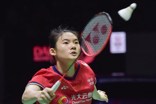 理的比例提 理的比例提